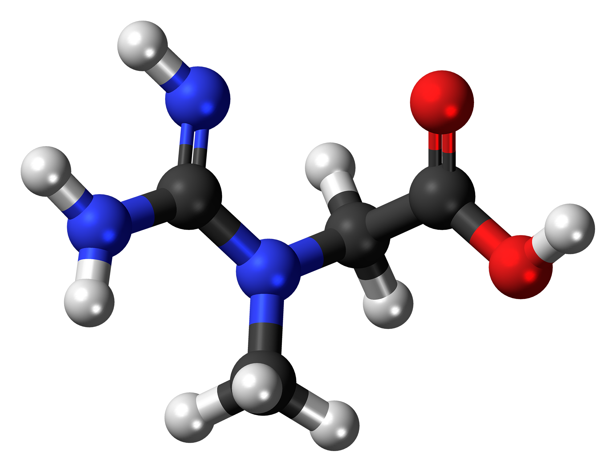 What Does It Mean To Have Low Creatinine In Blood Test